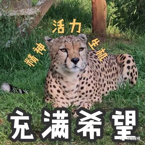 會展預告|三月春風十里，祥聚座椅在中國(廣州)國際家具博覽會等您！(圖2)