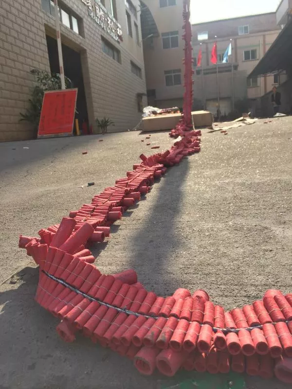 開工大吉|2019，和祥聚座椅一起前行！(圖3)