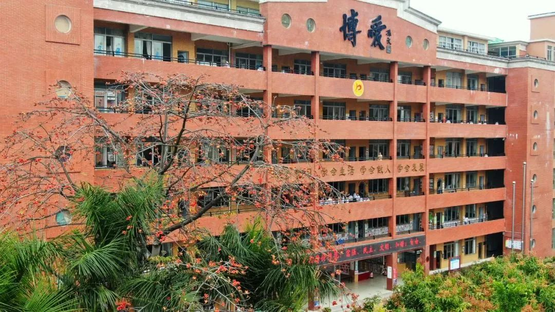 祥聚案例分享|上海外國語大學三亞附屬中?學(圖6)
