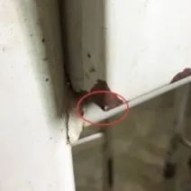課桌椅如此重要？家長自費給孩子全班換課桌椅！連上2個熱搜！(圖5)